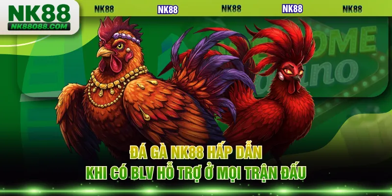 Đá gà NK88 hấp dẫn khi có BLV hỗ trợ ở mọi trận đấu